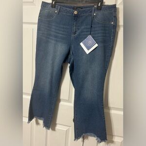 Ag Denim Women’s High Rise Demi Boot Cropped Frayed Jeans NWT Size 20W